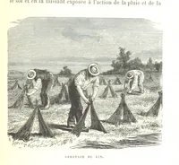 An illustration from Six semaines de vacances. [With illustrations (1880)