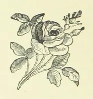 An illustration from Aunt Hetty's Will. ... With illustrations, etc (1883)
