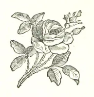 An illustration from Grey Towers; or, Aunt Hetty's Will ... With illustrations by F. Gilbert (1877)