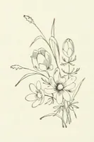 An illustration from Pomona. By the author of “Laddie.” [i.e. Evelyn Whitaker.], etc (1894)