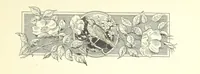 An illustration from Pomona. By the author of “Laddie.” [i.e. Evelyn Whitaker.], etc (1894)