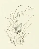 An illustration from Pomona. By the author of “Laddie.” [i.e. Evelyn Whitaker.], etc (1894)