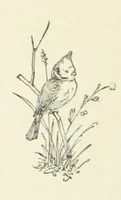 An illustration from Pomona. By the author of “Laddie.” [i.e. Evelyn Whitaker.], etc (1894)