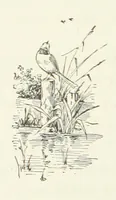 An illustration from Pomona. By the author of “Laddie.” [i.e. Evelyn Whitaker.], etc (1894)
