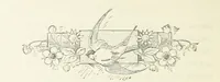 An illustration from Pomona. By the author of “Laddie.” [i.e. Evelyn Whitaker.], etc (1894)