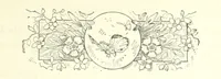 Picture 44 of 59 from Pomona. By the author of “Laddie.” [i.e. Evelyn Whitaker.], etc (1894), leaf 357