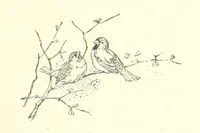 An illustration from Pomona. By the author of “Laddie.” [i.e. Evelyn Whitaker.], etc (1894)