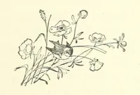 An illustration from Pomona. By the author of “Laddie.” [i.e. Evelyn Whitaker.], etc (1894)