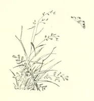 An illustration from Pomona. By the author of “Laddie.” [i.e. Evelyn Whitaker.], etc (1894)