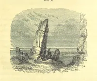 An illustration from Report on the Geology of the County of Londonderry, and of parts of Tyrone and Fermanagh. [With maps and plates (1843)