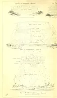 Picture 28 of 74 from Report on the Geology of the County of Londonderry, and of parts of Tyrone and Fermanagh. [With maps and plates (1843), leaf 828