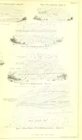 An illustration from Report on the Geology of the County of Londonderry, and of parts of Tyrone and Fermanagh. [With maps and plates (1843)