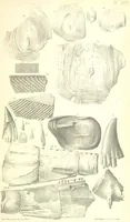 An illustration from Report on the Geology of the County of Londonderry, and of parts of Tyrone and Fermanagh. [With maps and plates (1843)