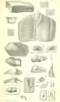 An illustration from Report on the Geology of the County of Londonderry, and of parts of Tyrone and Fermanagh. [With maps and plates (1843)