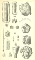 An illustration from Report on the Geology of the County of Londonderry, and of parts of Tyrone and Fermanagh. [With maps and plates (1843)
