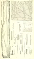 An illustration from Report on the Geology of the County of Londonderry, and of parts of Tyrone and Fermanagh. [With maps and plates (1843)
