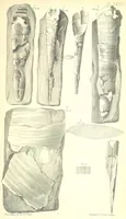 An illustration from Report on the Geology of the County of Londonderry, and of parts of Tyrone and Fermanagh. [With maps and plates (1843)