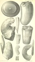 An illustration from Report on the Geology of the County of Londonderry, and of parts of Tyrone and Fermanagh. [With maps and plates (1843)