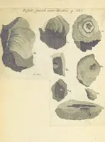 An illustration from The History and Antiquities of Highgate, Middlesex. With illustrations (1842)