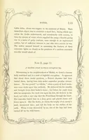 An illustration from Algiers the Warlike, and other poems (1846)