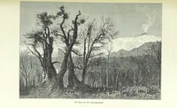 Picture 45 of 152 from Geïllustreerde Aardrijksbeschrijving (1891), leaf 307