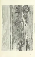 Picture 142 of 152 from Geïllustreerde Aardrijksbeschrijving (1891), leaf 677