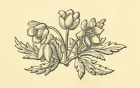 An illustration from Legends and Lyrics ... Fourth edition (1866)