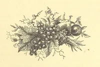 An illustration from The Door without a Knocker, and other tales (1875)