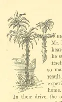 An illustration from The Door without a Knocker, and other tales (1875)