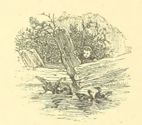An illustration from The Door without a Knocker, and other tales (1875)
