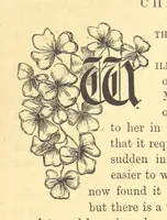 An illustration from The Door without a Knocker, and other tales (1875)