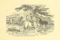 An illustration from The Door without a Knocker, and other tales (1875)