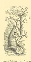An illustration from The Door without a Knocker, and other tales (1875)