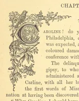 An illustration from The Door without a Knocker, and other tales (1875)