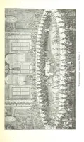 An illustration from Забытое прошлое окрестностей Петербурга (1889)