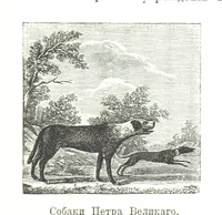 Picture 99 of 115 from Забытое прошлое окрестностей Петербурга (1889), leaf 437