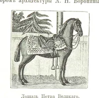 Picture 100 of 115 from Забытое прошлое окрестностей Петербурга (1889), leaf 439