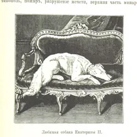 Picture 108 of 115 from Забытое прошлое окрестностей Петербурга (1889), leaf 483