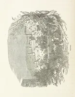 An illustration from The Handwriting of God in Egypt, Sinai, and the Holy Land: the records of a journey from the great Valley of the West to the Sacred Places of the East. ... With maps, diagrams, and ... illustrations (1867)