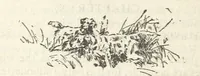 An illustration from Mynheer Joe. A semi-humorous story of love and adventure. Illustrated (1893)