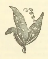 An illustration from Winter Scenes and other poems (1884)