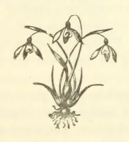 An illustration from Winter Scenes and other poems (1884)
