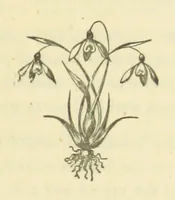 An illustration from Winter Scenes and other poems (1884)