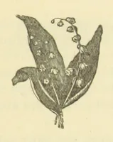 An illustration from Winter Scenes and other poems (1884)