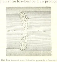 An illustration from La Terre: description des phénomènes de la vie du globe. I. Les Continents. II. L'Ocean, l'Atmosphere, la Vie (1868)