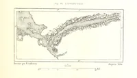 An illustration from La Terre: description des phénomènes de la vie du globe. I. Les Continents. II. L'Ocean, l'Atmosphere, la Vie (1868)