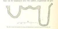 Picture 62 of 224 from La Terre: description des phénomènes de la vie du globe. I. Les Continents. II. L'Ocean, l'Atmosphere, la Vie (1868), leaf 228