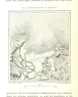 An illustration from La Terre: description des phénomènes de la vie du globe. I. Les Continents. II. L'Ocean, l'Atmosphere, la Vie (1868)