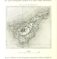 Picture 103 of 224 from La Terre: description des phénomènes de la vie du globe. I. Les Continents. II. L'Ocean, l'Atmosphere, la Vie (1868), leaf 364