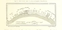 Picture 10 of 224 from La Terre: description des phénomènes de la vie du globe. I. Les Continents. II. L'Ocean, l'Atmosphere, la Vie (1868), leaf 39